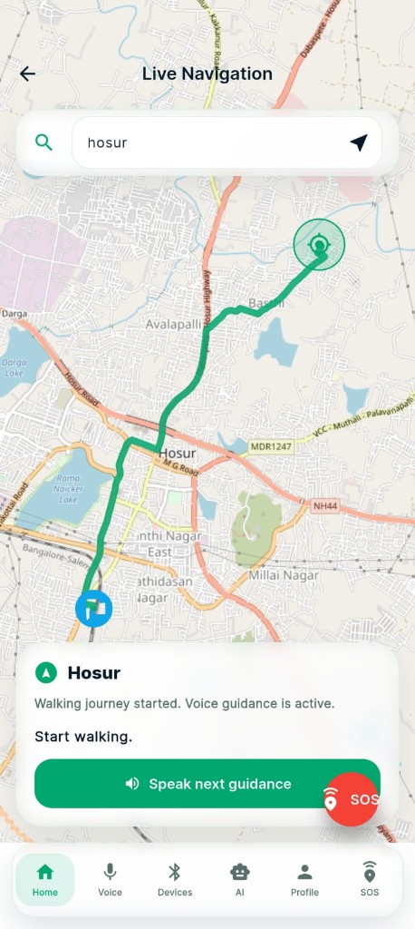 Active walking route with voice guidance